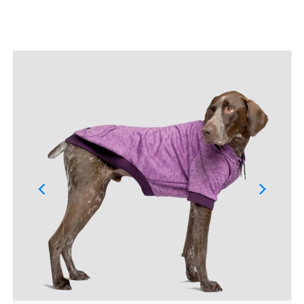 Purple Dog Sweater